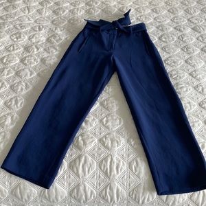 Wilfred Aritzia tie waist pants